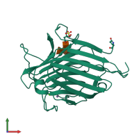 PDB entry 1lec coloured by chain, front view.