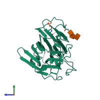 PDB entry 1lec coloured by chain, side view.