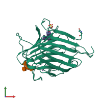 PDB entry 1led coloured by chain, front view.