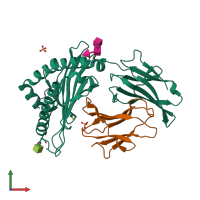 PDB entry 1leg coloured by chain, front view.