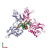 PDB entry 1lei coloured by chain, front view.