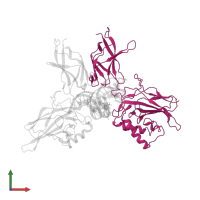 Nuclear factor NF-kappa-B p50 subunit in PDB entry 1lei, assembly 1, front view.