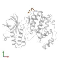 Dual specificity mitogen-activated protein kinase kinase 3 in PDB entry 1lez, assembly 1, front view.