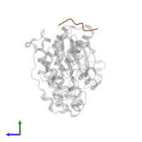 Dual specificity mitogen-activated protein kinase kinase 3 in PDB entry 1lez, assembly 1, side view.