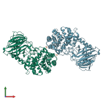 PDB entry 1lf6 coloured by chain, front view.