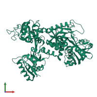 Lactotransferrin in PDB entry 1lfh, assembly 1, front view.