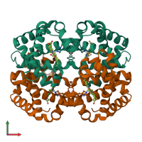 Hetero tetrameric assembly 1 of PDB entry 1lft coloured by chemically distinct molecules, front view.