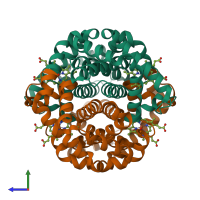 Hetero tetrameric assembly 1 of PDB entry 1lft coloured by chemically distinct molecules, side view.