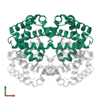 Hemoglobin subunit alpha in PDB entry 1lft, assembly 1, front view.