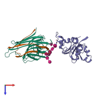 PDB entry 1lgb coloured by chain, top view.