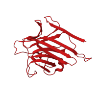 The deposited structure of PDB entry 1lgc contains 3 copies of CATH domain 2.60.120.200 (Jelly Rolls) in Lectin beta-1 and beta-2 chains. Showing 1 copy in chain A.