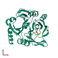 PDB entry 1lgt coloured by chain, front view.