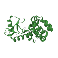 The deposited structure of PDB entry 1lgu contains 1 copy of SCOP domain 53981 (Phage lysozyme) in Endolysin. Showing 1 copy in chain A.