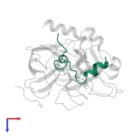 Thrombin light chain in PDB entry 1lhe, assembly 1, top view.