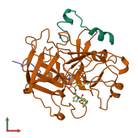 PDB entry 1lhf coloured by chain, front view.