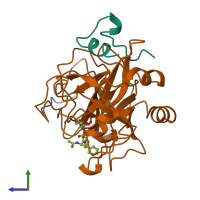 PDB entry 1lhg coloured by chain, side view.