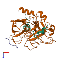 PDB entry 1lhg coloured by chain, top view.