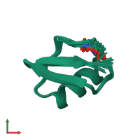 PDB entry 1lir coloured by chain, ensemble of 22 models, front view.