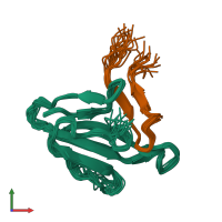 PDB entry 1ljz coloured by chain, ensemble of 19 models, front view.