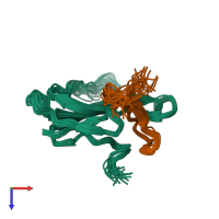 PDB entry 1ljz coloured by chain, ensemble of 19 models, top view.