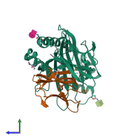 PDB entry 1lk2 coloured by chain, side view.