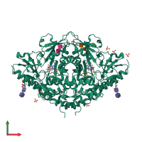 Homo dimeric assembly 1 of PDB entry 1lk9 coloured by chemically distinct molecules, front view.