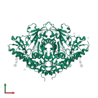 Alliin lyase 1 in PDB entry 1lk9, assembly 1, front view.