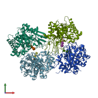 PDB entry 1ll4 coloured by chain, front view.