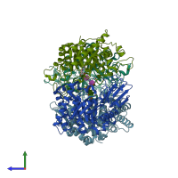PDB entry 1ll4 coloured by chain, side view.