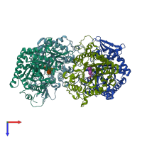PDB entry 1ll4 coloured by chain, top view.