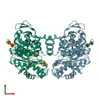 PDB entry 1llf coloured by chain, front view.