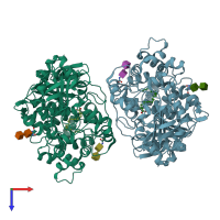 PDB entry 1llf coloured by chain, top view.