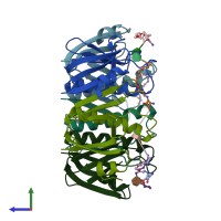 PDB 1llr coloured by chain and viewed from the side.