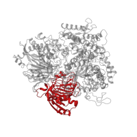 The deposited structure of PDB entry 1llw contains 1 copy of CATH domain 2.160.20.60 (Pectate Lyase C-like) in Ferredoxin-dependent glutamate synthase 2. Showing 1 copy in chain A.