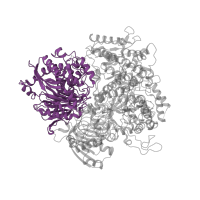 The deposited structure of PDB entry 1llw contains 1 copy of CATH domain 3.60.20.10 (Glutamine Phosphoribosylpyrophosphate, subunit 1, domain 1) in Ferredoxin-dependent glutamate synthase 2. Showing 1 copy in chain A.