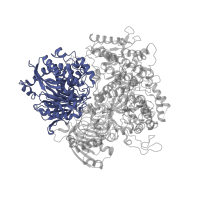 The deposited structure of PDB entry 1llw contains 1 copy of SCOP domain 56236 (Class II glutamine amidotransferases) in Ferredoxin-dependent glutamate synthase 2. Showing 1 copy in chain A.