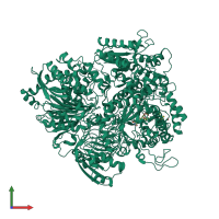 PDB entry 1llz coloured by chain, front view.