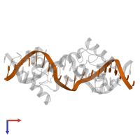 DNA (5'-D(*TP*AP*TP*AP*TP*CP*AP*CP*CP*GP*CP*CP*AP*GP*TP*GP*G P*TP*AP*T)-3') in PDB entry 1lmb, assembly 1, top view.