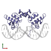 Repressor protein cI in PDB entry 1lmb, assembly 1, front view.