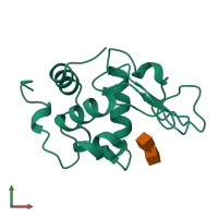 PDB entry 1lmo coloured by chain, front view.