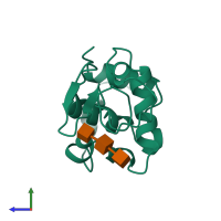 PDB entry 1lmp coloured by chain, side view.