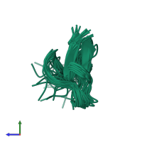 PDB entry 1lmr coloured by chain, ensemble of 21 models, side view.