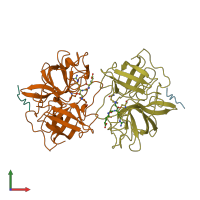 PDB entry 1lmw coloured by chain, front view.