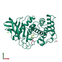 PDB entry 1lnb coloured by chain, front view.