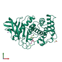 PDB entry 1lnc coloured by chain, front view.