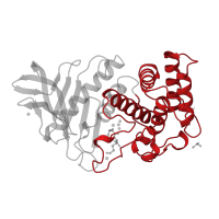 The deposited structure of PDB entry 1lnd contains 1 copy of CATH domain 1.10.390.10 (Neutral Protease; domain 2) in Thermolysin. Showing 1 copy in chain A [auth E].