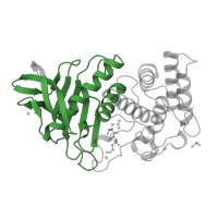 The deposited structure of PDB entry 1lnd contains 1 copy of Pfam domain PF01447 (Thermolysin metallopeptidase, catalytic domain) in Thermolysin. Showing 1 copy in chain A [auth E].