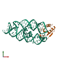 PDB entry 1lng coloured by chain, front view.