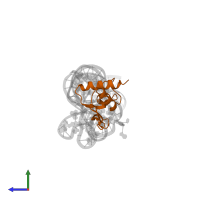 Signal recognition particle 19 kDa protein in PDB entry 1lng, assembly 1, side view.