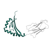 The deposited structure of PDB entry 1lo5 contains 1 copy of CATH domain 3.10.320.10 (Class II Histocompatibility Antigen, M Beta Chain; Chain B, domain 1) in HLA class II histocompatibility antigen, DRB1 beta chain. Showing 1 copy in chain B.